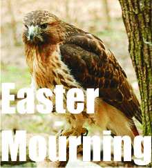 Easter Mourning title art